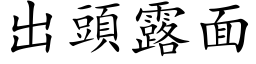 出头露面 (楷体矢量字库)