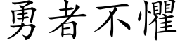 勇者不懼 (楷体矢量字库)