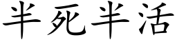 半死半活 (楷体矢量字库)