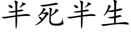 半死半生 (楷体矢量字库)