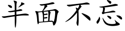 半面不忘 (楷体矢量字库)