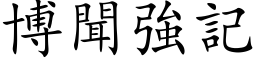 博聞強記 (楷体矢量字库)