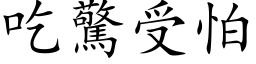 吃驚受怕 (楷体矢量字库)