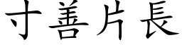 寸善片长 (楷体矢量字库)