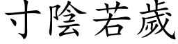 寸阴若岁 (楷体矢量字库)