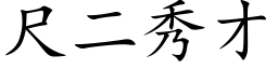 尺二秀才 (楷体矢量字库)