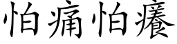 怕痛怕癢 (楷体矢量字库)