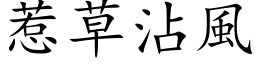 惹草沾風 (楷体矢量字库)