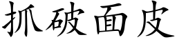 抓破面皮 (楷体矢量字库)