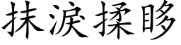 抹淚揉眵 (楷体矢量字库)