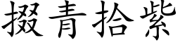 掇青拾紫 (楷体矢量字库)