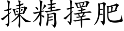 揀精擇肥 (楷体矢量字库)