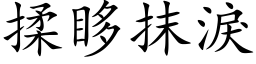 揉眵抹泪 (楷体矢量字库)