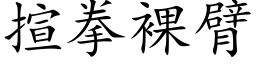 揎拳裸臂 (楷体矢量字库)