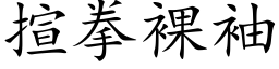 揎拳裸袖 (楷体矢量字库)