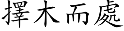 择木而处 (楷体矢量字库)