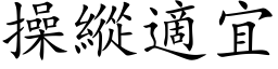 操縱適宜 (楷体矢量字库)