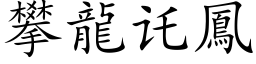 攀龙讬凤 (楷体矢量字库)