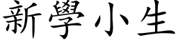 新学小生 (楷体矢量字库)