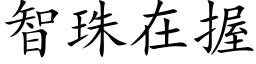 智珠在握 (楷体矢量字库)