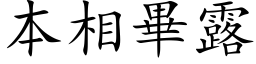 本相毕露 (楷体矢量字库)