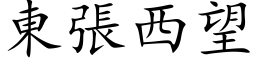 东张西望 (楷体矢量字库)