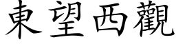 東望西觀 (楷体矢量字库)