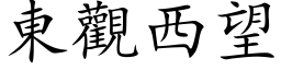 東觀西望 (楷体矢量字库)