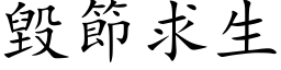 毁节求生 (楷体矢量字库)