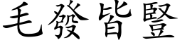 毛发皆竖 (楷体矢量字库)