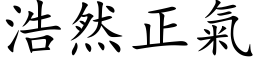 浩然正气 (楷体矢量字库)