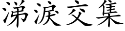 涕泪交集 (楷体矢量字库)