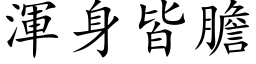 渾身皆膽 (楷体矢量字库)