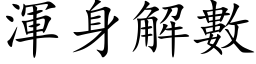 浑身解数 (楷体矢量字库)