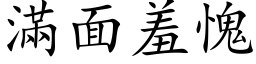 满面羞愧 (楷体矢量字库)