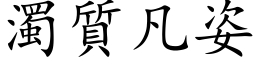 浊质凡姿 (楷体矢量字库)