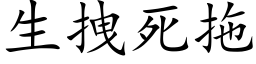 生拽死拖 (楷体矢量字库)