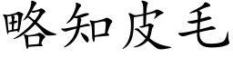 略知皮毛 (楷体矢量字库)