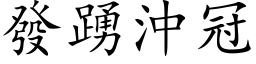 發踴沖冠 (楷体矢量字库)