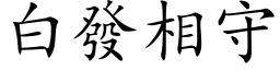 白發相守 (楷体矢量字库)