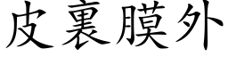 皮裏膜外 (楷体矢量字库)