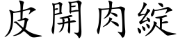 皮開肉綻 (楷体矢量字库)