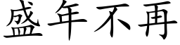 盛年不再 (楷体矢量字库)