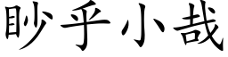 眇乎小哉 (楷体矢量字库)