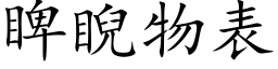 睥睨物表 (楷体矢量字库)