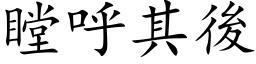 瞠呼其後 (楷体矢量字库)