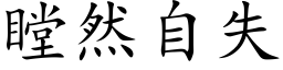 瞠然自失 (楷体矢量字库)