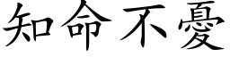 知命不忧 (楷体矢量字库)