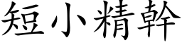 短小精干 (楷体矢量字库)