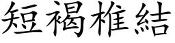 短褐椎结 (楷体矢量字库)